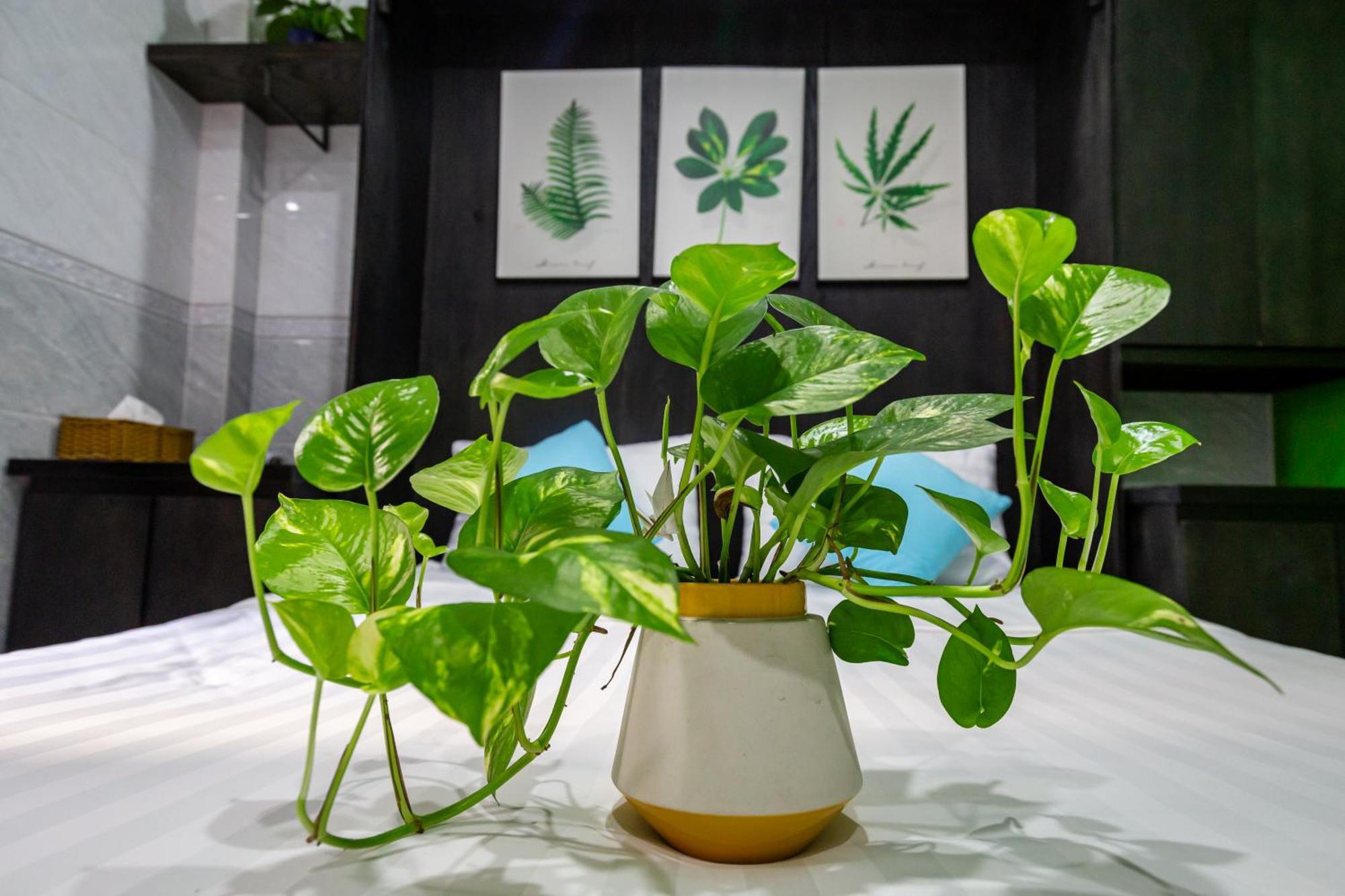 Cola'S Homestay Ho Chi Minh-byen Eksteriør bilde